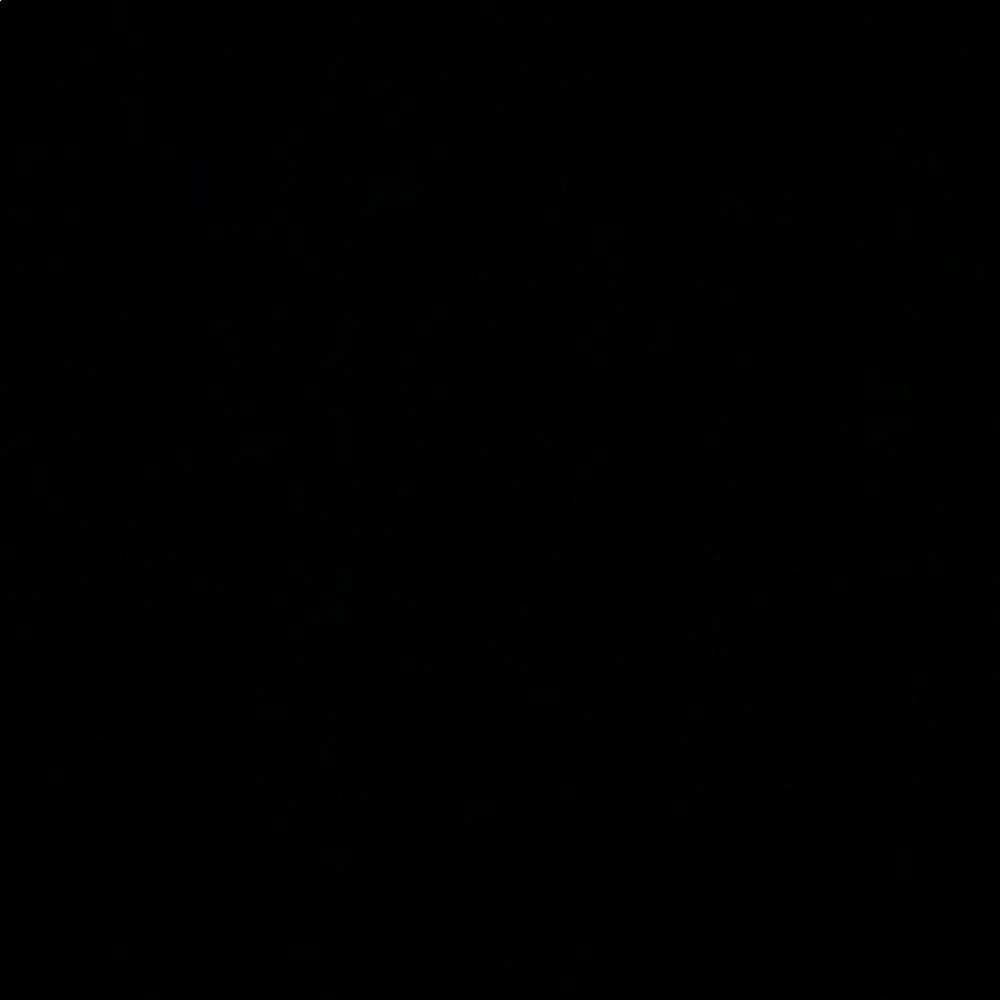 Meet your Posher, Jaylen